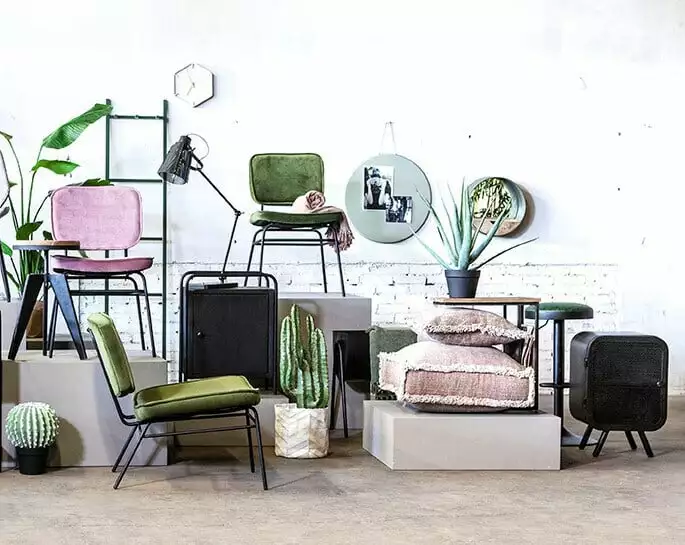 Iso Tekokasvi Purkissa - Image 2