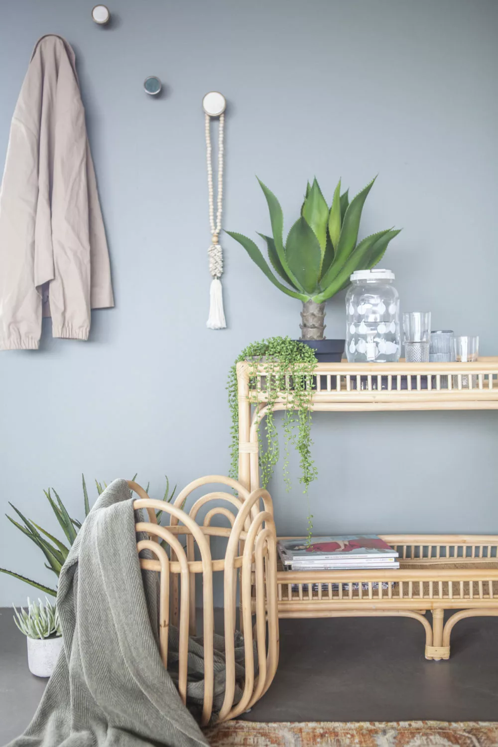 Tekokasvi Agave Korkealla Rungolla - Image 2