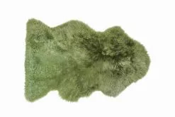 Lampaantalja, Värjätty Vihreä