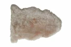 Lampaantalja, Värjätty Samppanja