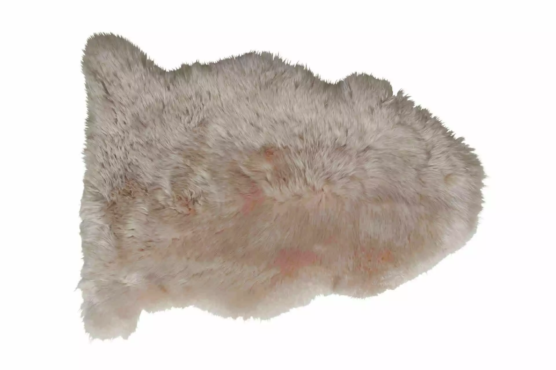 Lampaantalja, Värjätty Samppanja