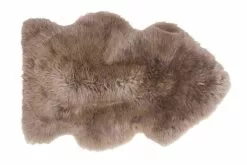 Lampaantalja, Värjätty Taupe