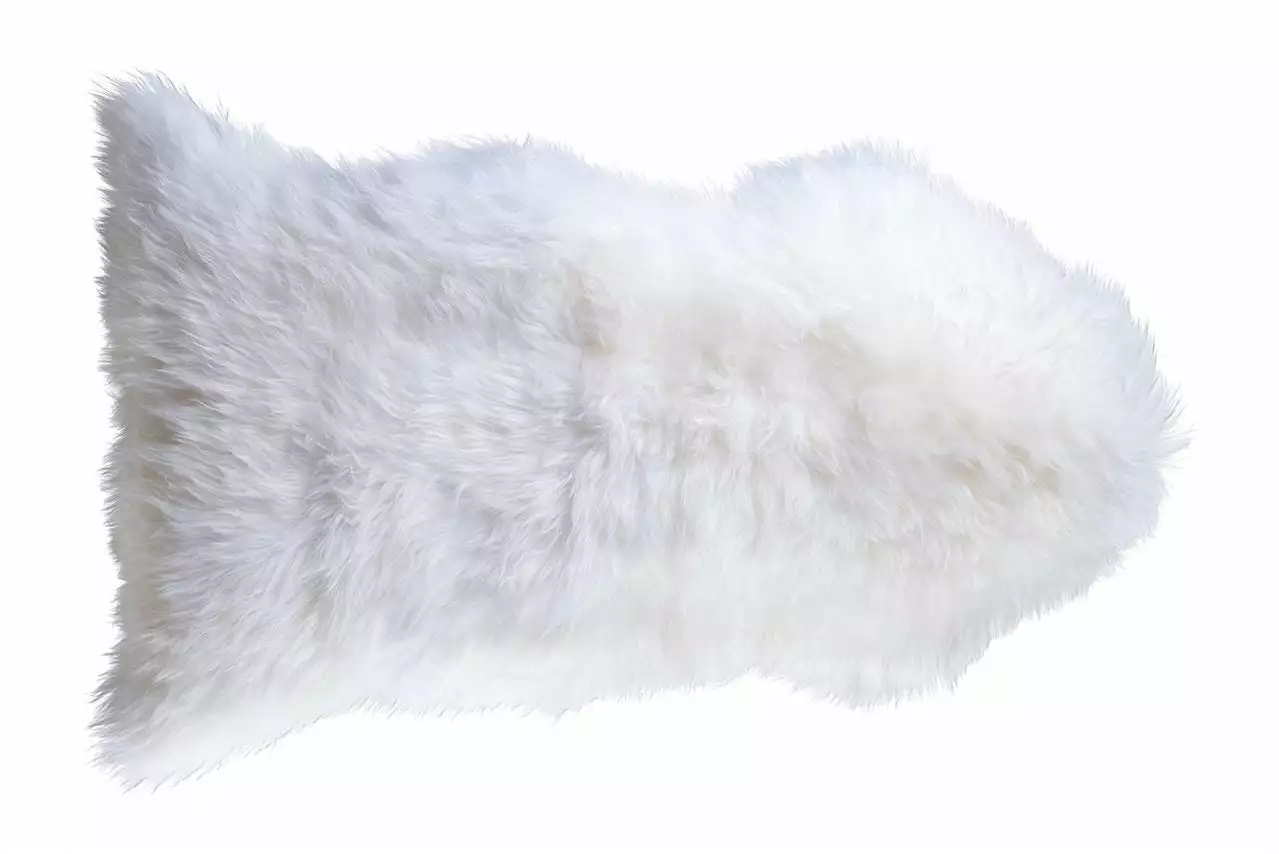 Lampaantalja, Valkoinen