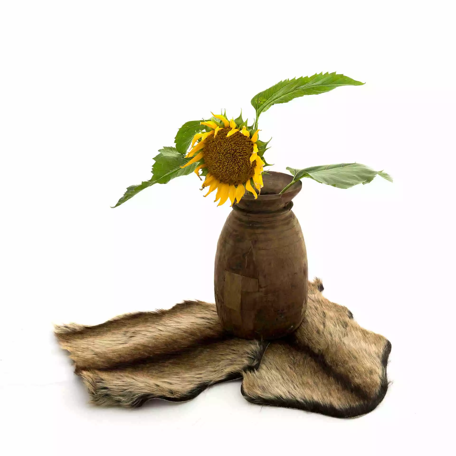 Natural Collections Keinotalja, Kani - Image 4