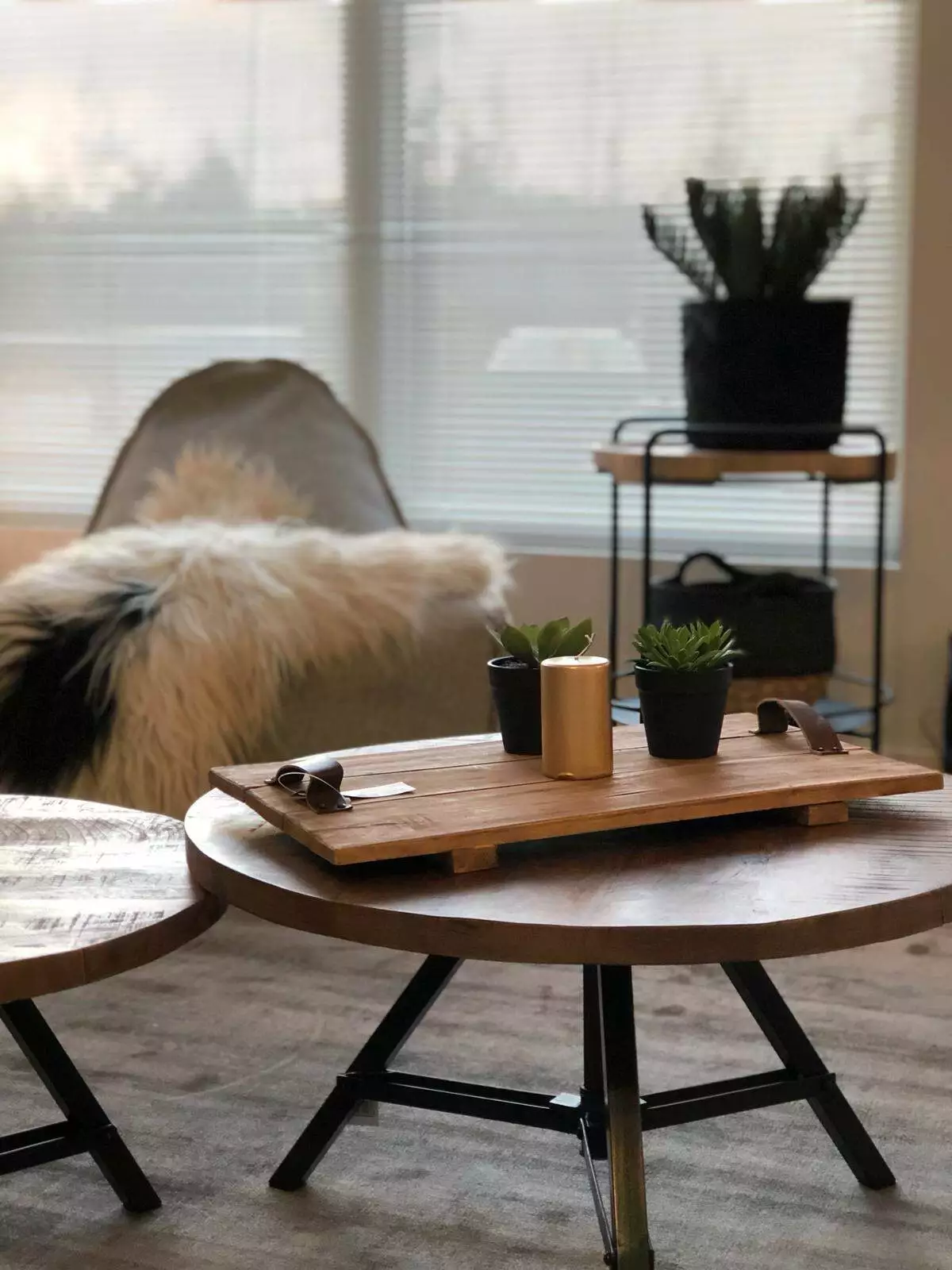 Islanninlampaantalja, Mustavalkoinen - Image 3