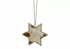 Koriste, Tähti Lehmäntaljasta