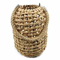 Punottu Lyhty, Vesihyasinttiä